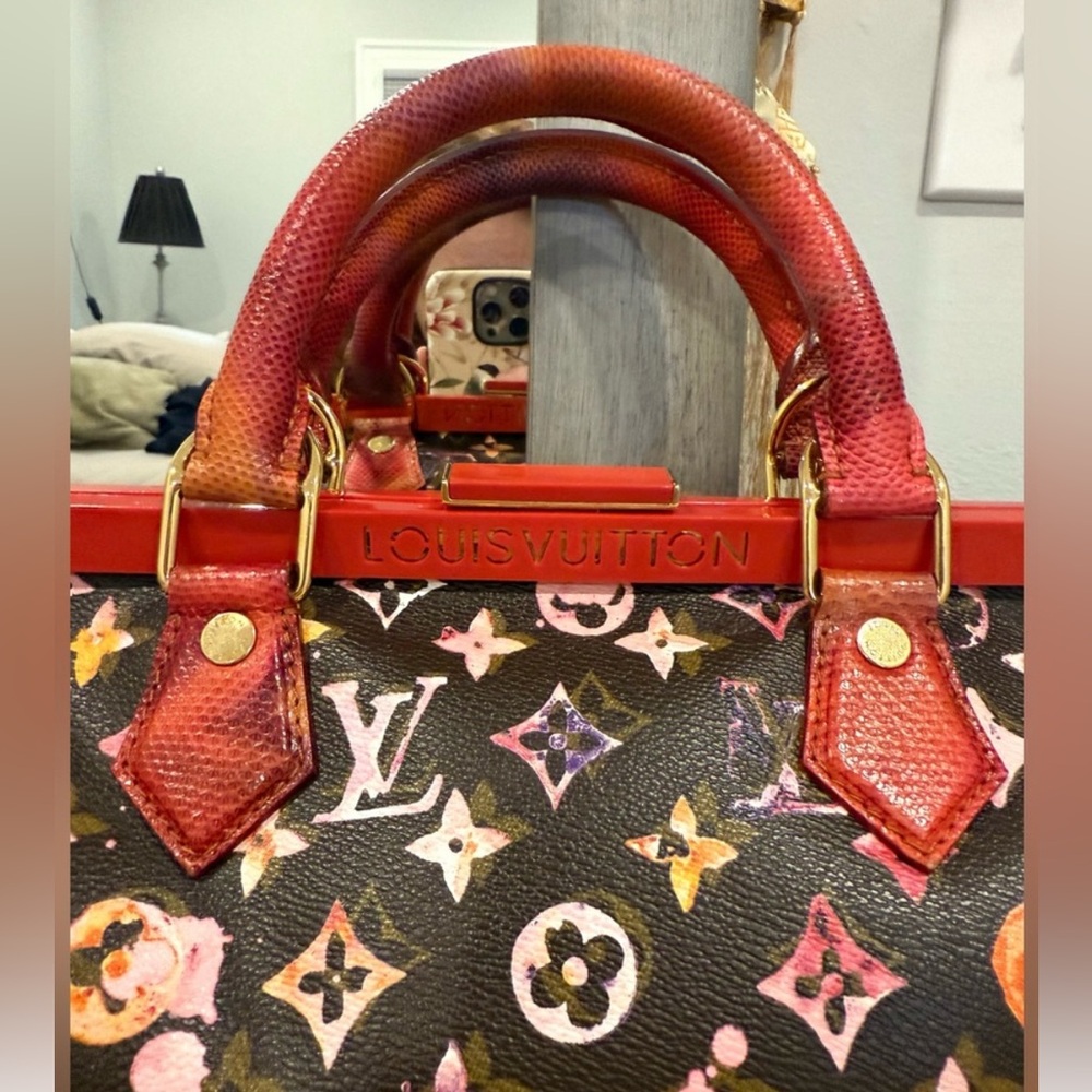 Louis Vuitton Spring 2008 Runway Python Aquarelle Papillon Bag - Picture 3 of 10